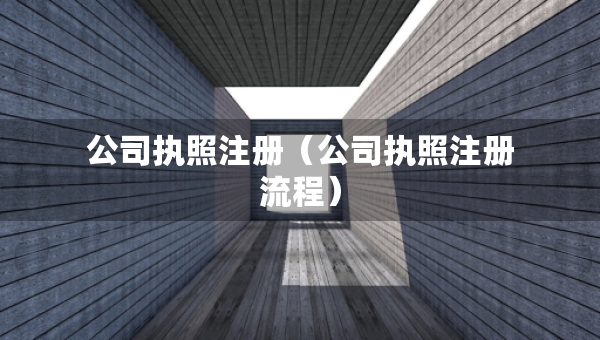 公司執(zhí)照注冊（公司執(zhí)照注冊流程）