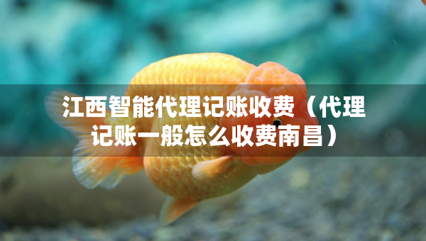 江西智能代理記賬收費（代理記賬一般怎么收費南昌）