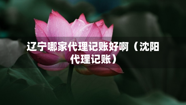 遼寧哪家代理記賬好?。ㄉ蜿?yáng)代理記賬）