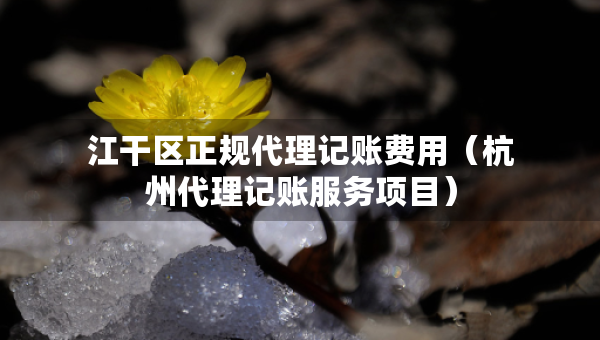 江干區(qū)正規(guī)代理記賬費(fèi)用（杭州代理記賬服務(wù)項(xiàng)目）