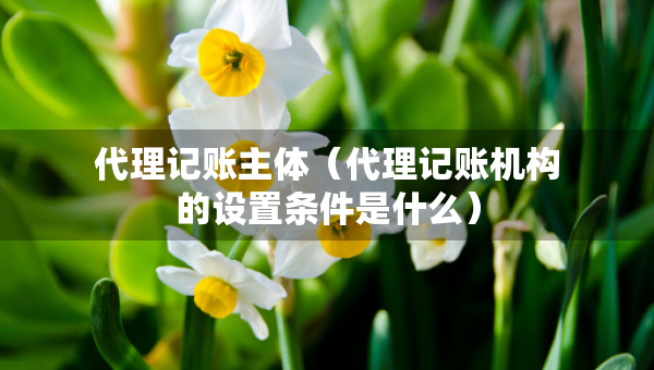 代理記賬主體（代理記賬機構的設置條件是什么）