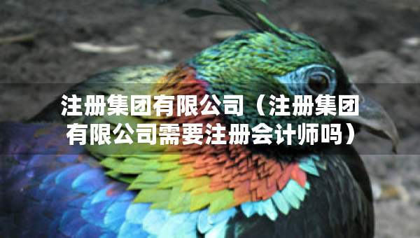 注冊集團有限公司（注冊集團有限公司需要注冊會計師嗎）