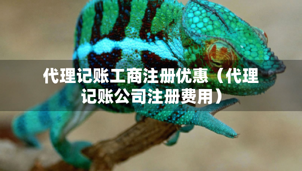 代理記賬工商注冊(cè)優(yōu)惠（代理記賬公司注冊(cè)費(fèi)用）