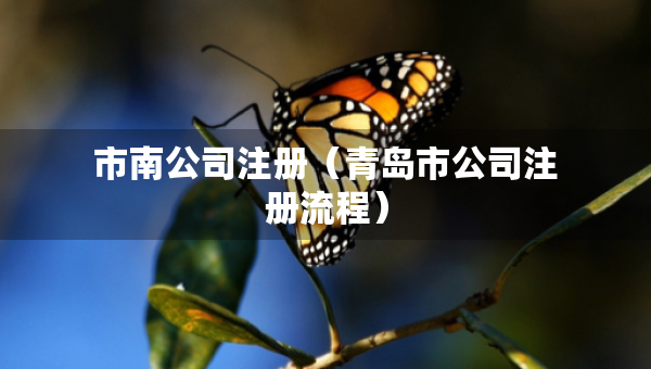 市南公司注冊（青島市公司注冊流程）