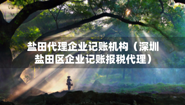 鹽田代理企業(yè)記賬機(jī)構(gòu)（深圳鹽田區(qū)企業(yè)記賬報稅代理）