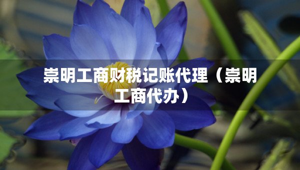 崇明工商財稅記賬代理（崇明工商代辦）