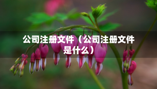 公司注冊文件（公司注冊文件是什么）