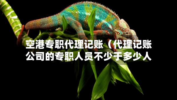 空港專(zhuān)職代理記賬（代理記賬公司的專(zhuān)職人員不少于多少人）