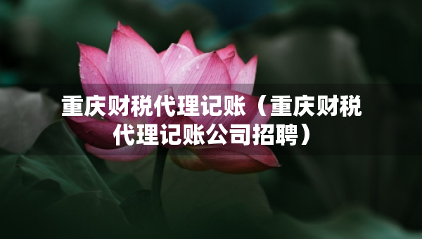 重慶財稅代理記賬（重慶財稅代理記賬公司招聘）