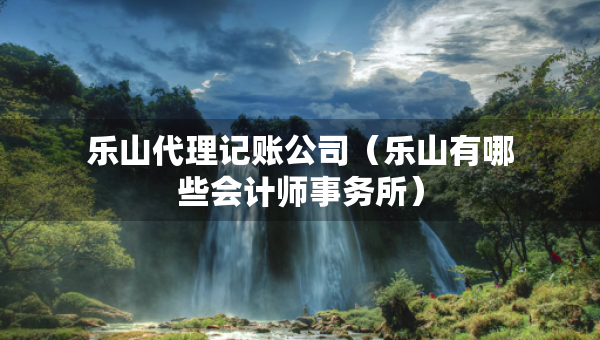 樂山代理記賬公司（樂山有哪些會計師事務所）