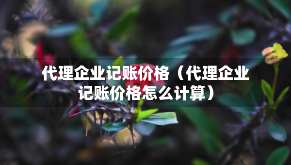 代理企業(yè)記賬價格（代理企業(yè)記賬價格怎么計算）