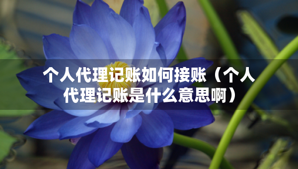 個人代理記賬如何接賬（個人代理記賬是什么意思?。? title=
