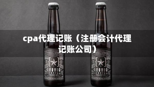 cpa代理記賬（注冊(cè)會(huì)計(jì)代理記賬公司）