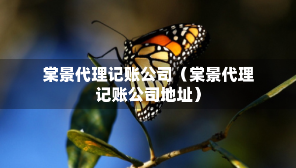 棠景代理記賬公司（棠景代理記賬公司地址）