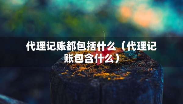 代理記賬都包括什么（代理記賬包含什么）