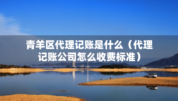 青羊區(qū)代理記賬是什么（代理記賬公司怎么收費(fèi)標(biāo)準(zhǔn)）