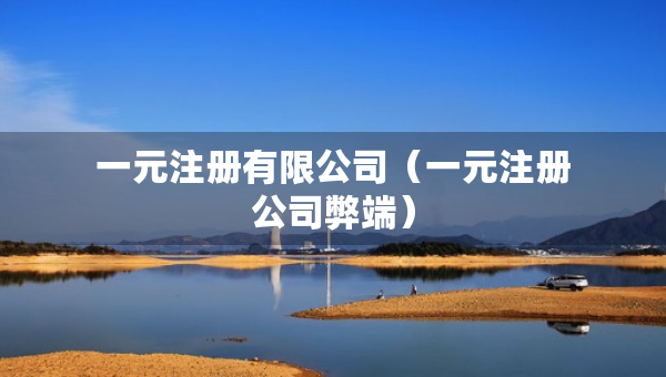 一元注冊(cè)有限公司（一元注冊(cè)公司弊端）
