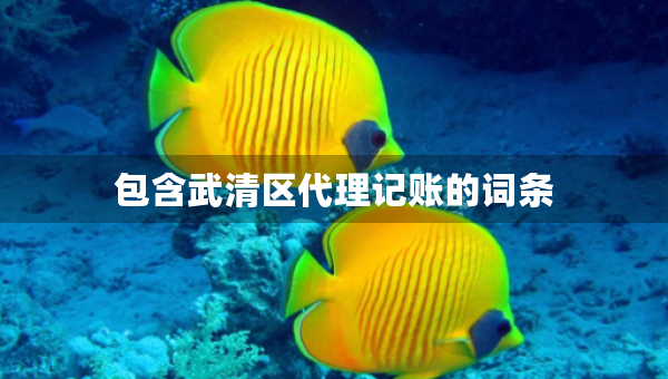 包含武清區(qū)代理記賬的詞條