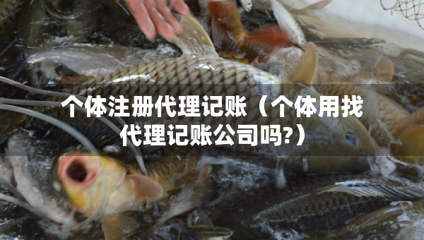 個體注冊代理記賬（個體用找代理記賬公司嗎?）