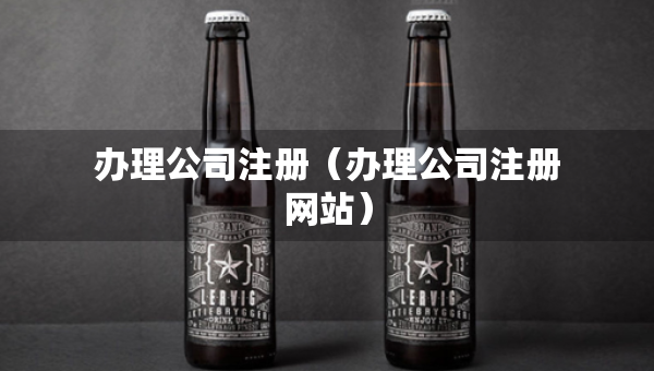 辦理公司注冊(cè)（辦理公司注冊(cè)網(wǎng)站）