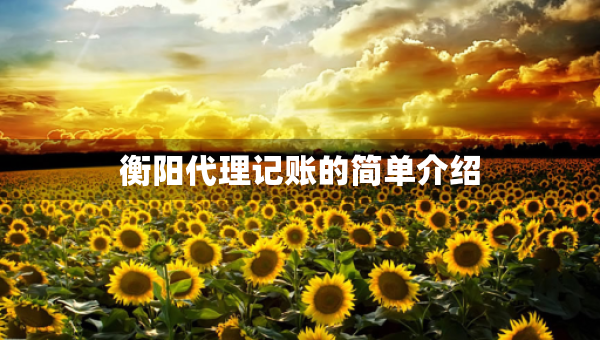 衡陽(yáng)代理記賬的簡(jiǎn)單介紹