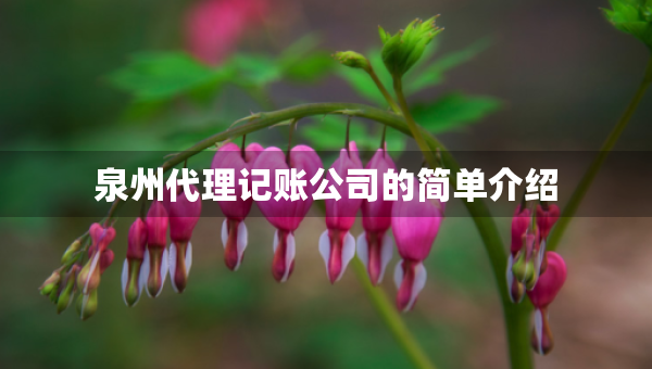 泉州代理記賬公司的簡(jiǎn)單介紹