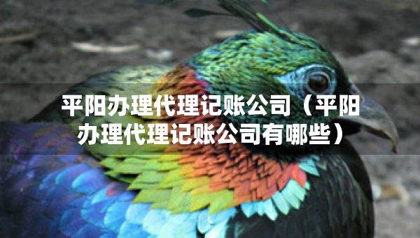 平陽辦理代理記賬公司（平陽辦理代理記賬公司有哪些）