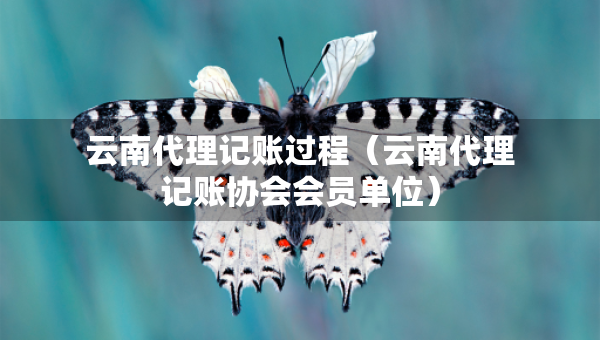 云南代理記賬過程（云南代理記賬協(xié)會會員單位）