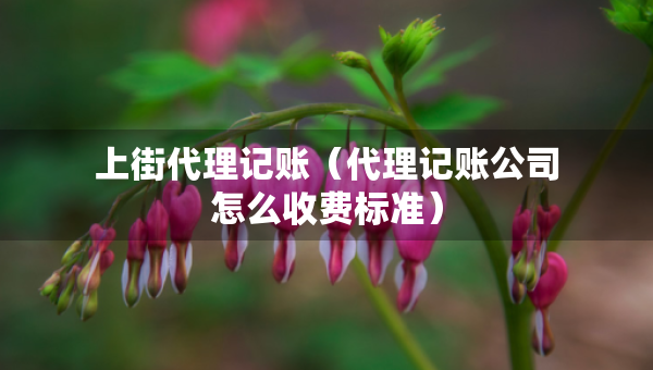 上街代理記賬（代理記賬公司怎么收費(fèi)標(biāo)準(zhǔn)）