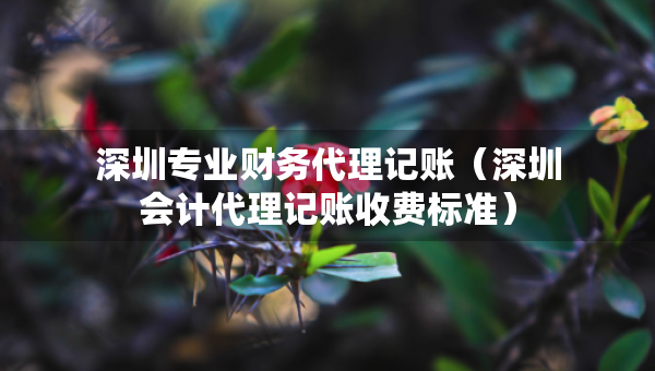 深圳專業(yè)財務(wù)代理記賬（深圳會計代理記賬收費標(biāo)準(zhǔn)）