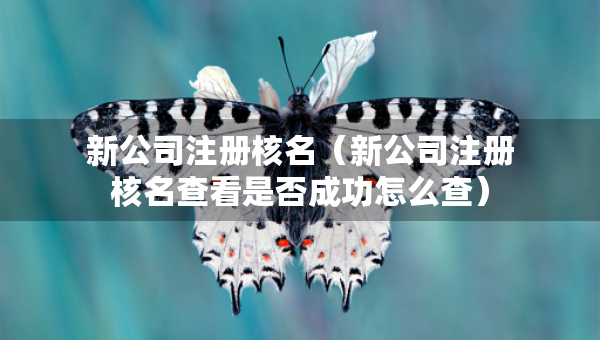新公司注冊核名（新公司注冊核名查看是否成功怎么查）