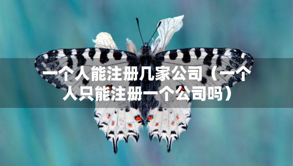 一個人能注冊幾家公司（一個人只能注冊一個公司嗎）
