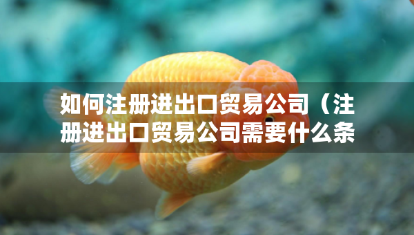 如何注冊(cè)進(jìn)出口貿(mào)易公司（注冊(cè)進(jìn)出口貿(mào)易公司需要什么條件呢）