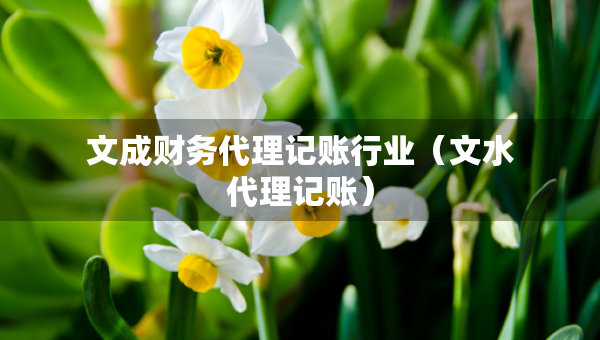 文成財(cái)務(wù)代理記賬行業(yè)（文水代理記賬）