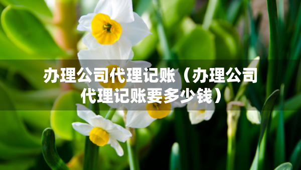 辦理公司代理記賬（辦理公司代理記賬要多少錢）