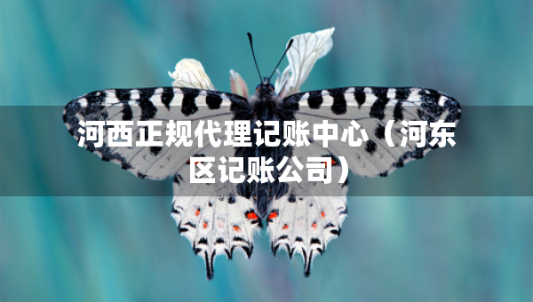 河西正規(guī)代理記賬中心（河東區(qū)記賬公司）