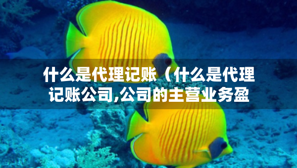 什么是代理記賬（什么是代理記賬公司,公司的主營(yíng)業(yè)務(wù)盈利模式是什么?）