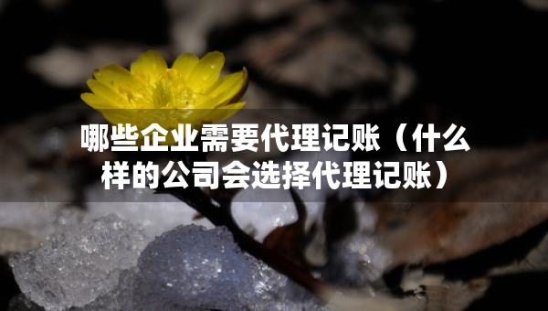 哪些企業(yè)需要代理記賬（什么樣的公司會選擇代理記賬）