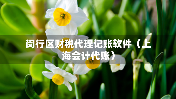 閔行區(qū)財稅代理記賬軟件（上海會計代賬）