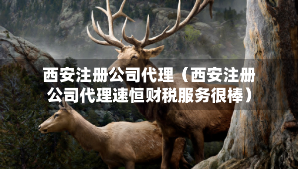 西安注冊公司代理（西安注冊公司代理速恒財稅服務(wù)很棒）