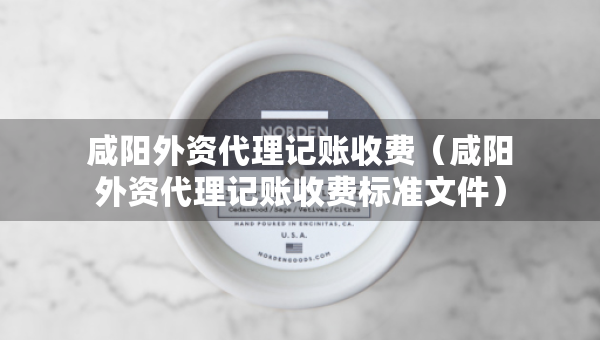 咸陽外資代理記賬收費（咸陽外資代理記賬收費標(biāo)準(zhǔn)文件）