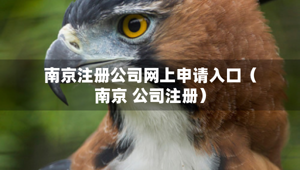 南京注冊公司網(wǎng)上申請入口（南京 公司注冊）