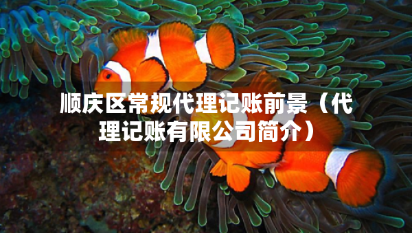 順慶區(qū)常規(guī)代理記賬前景（代理記賬有限公司簡(jiǎn)介）