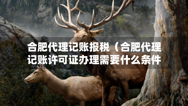 合肥代理記賬報(bào)稅（合肥代理記賬許可證辦理需要什么條件）