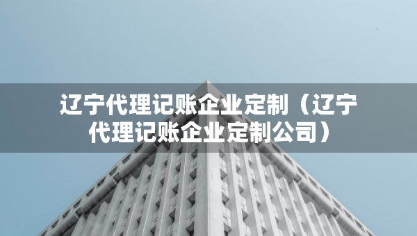 遼寧代理記賬企業(yè)定制（遼寧代理記賬企業(yè)定制公司）