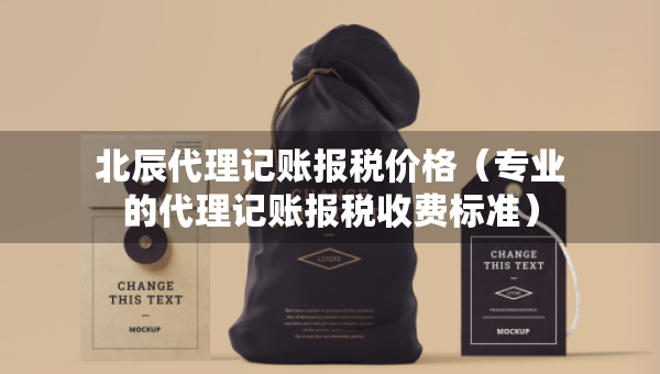 北辰代理記賬報(bào)稅價(jià)格（專業(yè)的代理記賬報(bào)稅收費(fèi)標(biāo)準(zhǔn)）