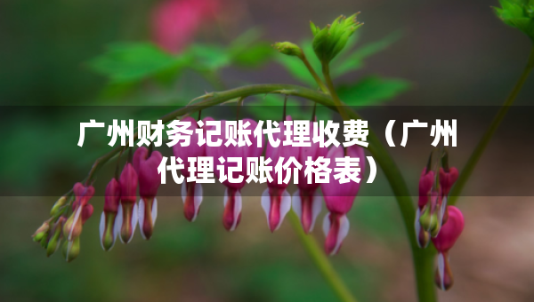 廣州財務(wù)記賬代理收費(fèi)（廣州代理記賬價格表）
