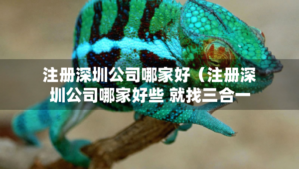 注冊深圳公司哪家好（注冊深圳公司哪家好些 就找三合一企服）