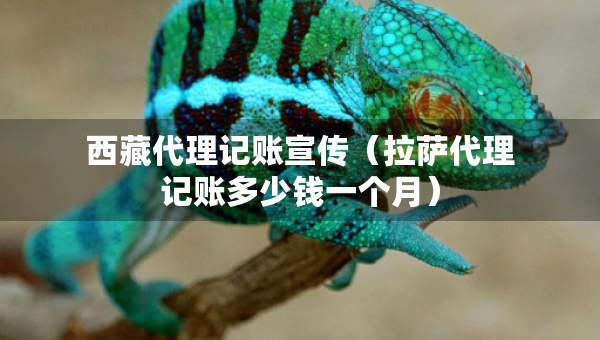 西藏代理記賬宣傳（拉薩代理記賬多少錢一個月）