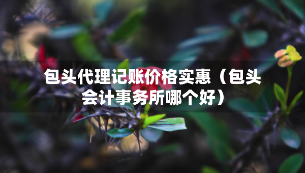 包頭代理記賬價(jià)格實(shí)惠（包頭會(huì)計(jì)事務(wù)所哪個(gè)好）